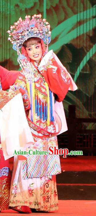 Chinese Huangmei Opera Royal Princess Garment Costumes and Headdress Female Consort Prince Traditional Anhui Opera Hua Tan Dress Apparels
