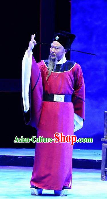 Chinese Huangmei Opera Song Dynasty Official Costumes and Headwear An Hui Opera Laosheng Apparels Elderly Man Poet Su Dongpo Clothing
