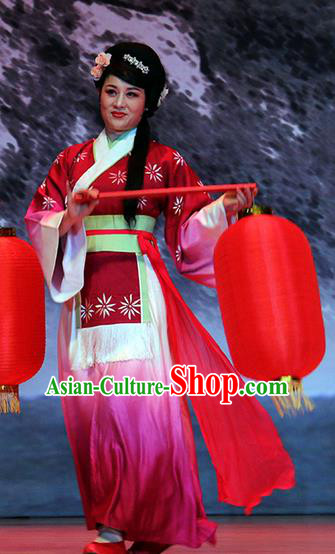 Chinese Huangmei Opera Servant Female Garment Costumes and Headpieces Su Dongpo Traditional Anhui Opera Maidservant Dress Apparels