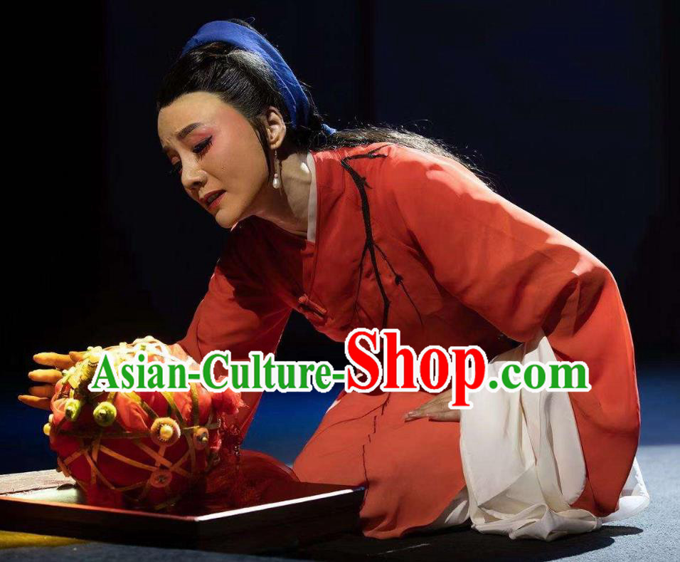 Chinese Huangmei Opera Xue Lang Gui Young Female Wang Baochuan Garment Costumes and Headpieces Traditional Anhui Opera Actress Red Dress Apparels