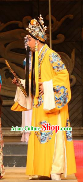 Chinese Huangmei Opera Laosheng Female Consort Prince Garment Costumes and Headwear An Hui Opera Emperor Apparels Clothing