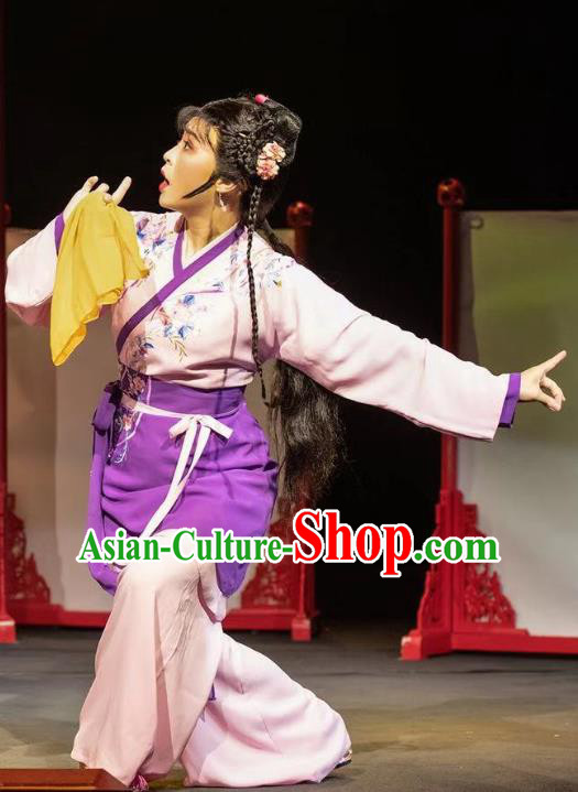 Chinese Huangmei Opera Young Lady Xue Lang Gui Garment Costumes and Headpieces Traditional Anhui Opera Servant Girl Dress Apparels