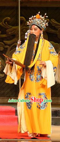 Chinese Huangmei Opera Laosheng Female Consort Prince Garment Costumes and Headwear An Hui Opera Emperor Apparels Clothing