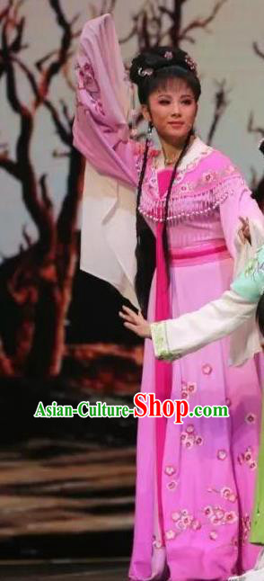 Chinese Huangmei Opera Daughter of Dragon Garment Costumes and Headdress Traditional Anhui Opera Hua Tan Dress Princess Yun Hua Apparels