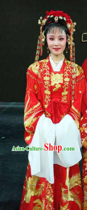 Chinese Huangmei Opera Princess Yun Hua Daughter of Dragon Garment Costumes and Headpieces Traditional Anhui Opera Actress Red Dress Apparels