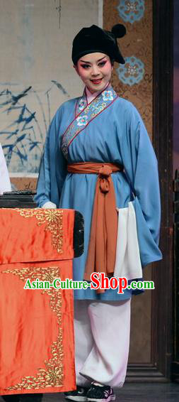 Chinese Huangmei Opera Young Boy Female Consort Prince Li Zhaoting Garment Costumes and Headwear An Hui Opera Livehand Apparels Clothing