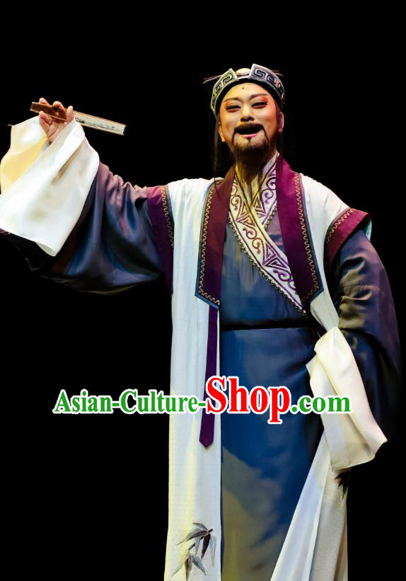 Chinese Huangmei Opera Old Man Ji Mo Han Qing Official Garment Costumes and Headwear An Hui Opera Scholat Guan Hanqing Apparels Clothing