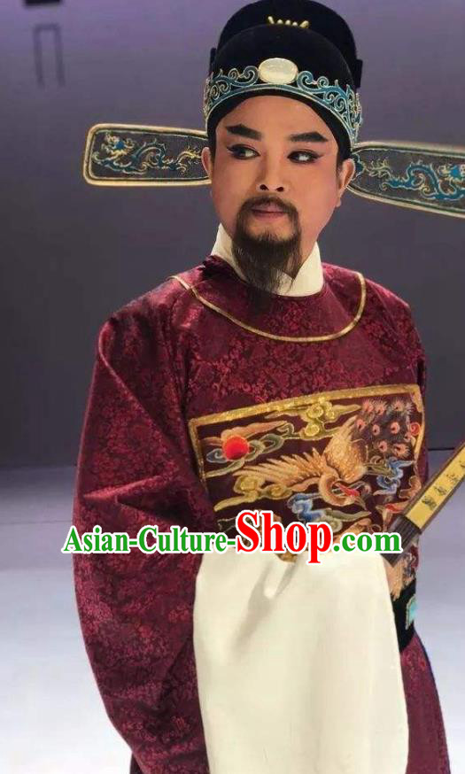 Chinese Huangmei Opera Official Censor Lady Costumes and Headwear An Hui Opera Elderly Male Apparels Minister Zuo Guangdou Clothing