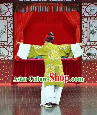 Chinese Shaoxing Opera Elderly Female Dress The Jade Hairpin Yue Opera Costumes Apparels Old Woman Green Garment and Hair Accessories