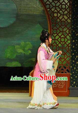 Chinese Shaoxing Opera Xiao Dan Dress Dream of the Red Chamber Yue Opera Actress Costumes Apparels Servant Girl Garment and Hair Accessories