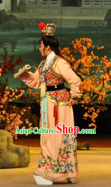 Chinese Classical Shaoxing Opera Noble Childe Garment Dream of the Red Chamber Costumes Yue Opera Young Male Jia Baoyu Apparels and Hair Ornaments