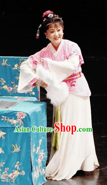 Chinese Huangmei Opera Young Lady Xi Mu Dan Garment Costumes and Headpieces Traditional Anhui Opera Servant Girl Dress Apparels