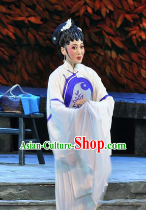 Chinese Huangmei Opera Actress Liu Mingyue Garment Costumes and Headpieces Chun Jiang Yue Traditional Anhui Opera Dress Young Female Apparels