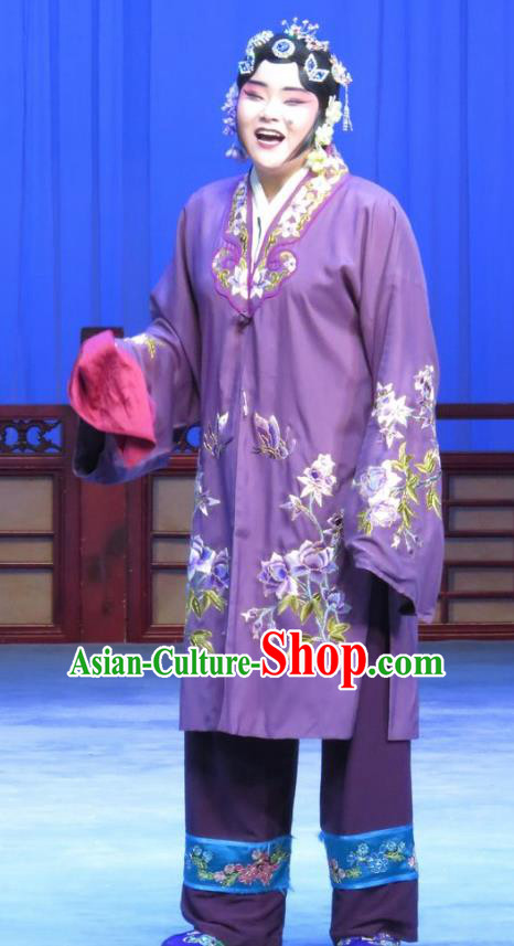 Chinese Ping Opera Zhu Hen Ji Ugly Woman Apparels Costumes and Headdress Traditional Pingju Opera Dress Garment