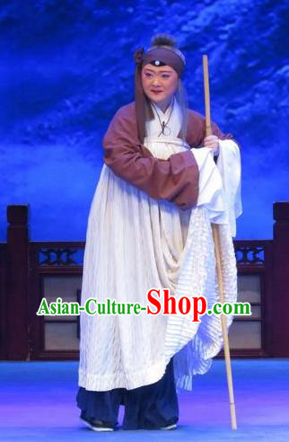 Chinese Ping Opera Old Woman Zhu Hen Ji Apparels Costumes and Headdress Traditional Pingju Opera Pantaloon Dress Elderly Female Garment