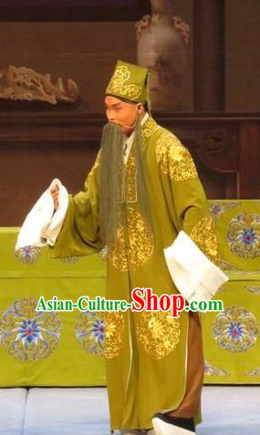 Zhen Zhu Shan Chinese Ping Opera Old Man Costumes and Headwear Pingju Opera Laosheng Apparels Elderly Male Clothing