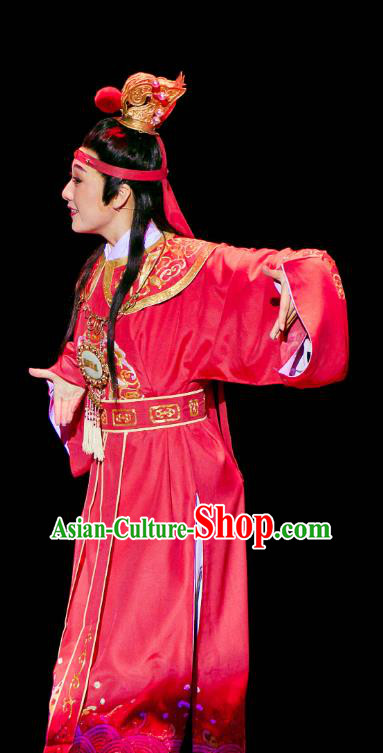 Dream of Red Mansions Chinese Huangmei Opera Niche Jia Baoyu Costumes and Headwear Chun Jiang Yue An Hui Opera Scholar Red Apparels Clothing