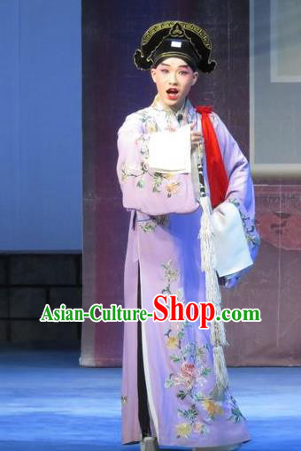 Chinese Ping Opera Niche Costumes and Headwear Yu Gong Case Pingju Opera Xiaosheng Li Jinlu Apparels Scholar Clothing