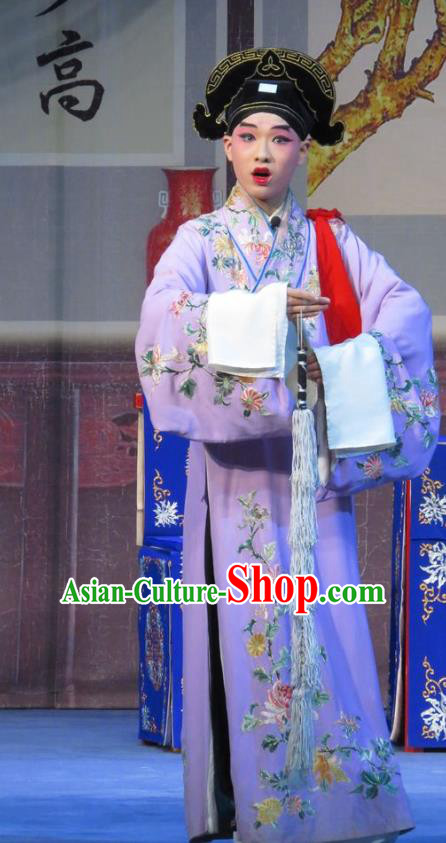 Dream of Red Mansions Chinese Ping Opera Niche Costumes and Headwear Yu Gong Case Pingju Opera Xiaosheng Li Jinlu Apparels Scholar Clothing
