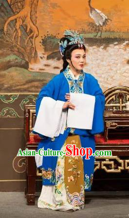 Dream of the Red Chamber Chinese Shaoxing Opera Elderly Mistress Dress Apparels Yue Opera Costumes Noble Dame Wang Garment and Hair Accessories