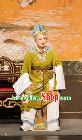 Dream of the Red Chamber Chinese Shaoxing Opera Elderly Female Dress Apparels Yue Opera Costumes Dowager Countess Jia Garment and Headpieces
