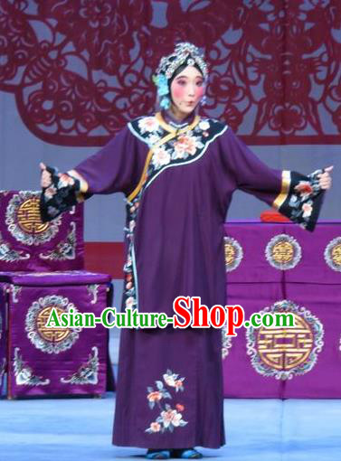Chinese Ping Opera Ugly Female Garment Costumes and Headdress Jie Nv Qiao Pei Traditional Pingju Opera Rich Lady Wang Meirong Dress Apparels