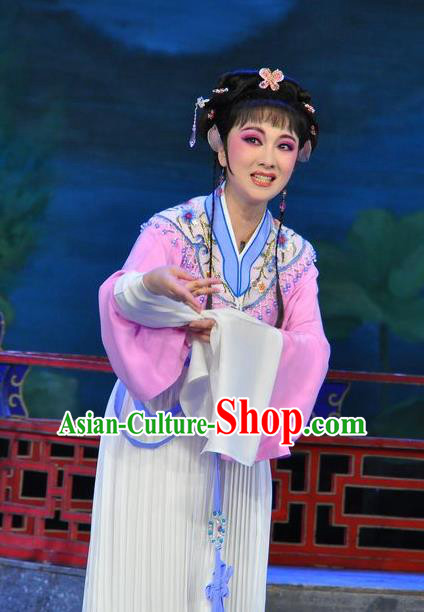 Chinese Shaoxing Opera Actress Dress Dream of the Red Chamber Yue Opera Costumes Apparels Maidservant Zi Juan Garment and Hair Jewelry