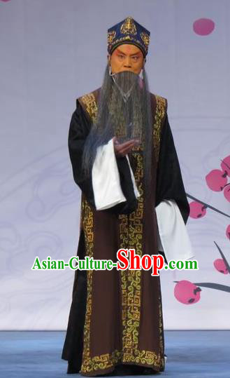 Xue Yu Bing Shuang Chinese Ping Opera Laosheng Costumes and Headwear Pingju Opera Elderly Male Landlord Apparels Clothing