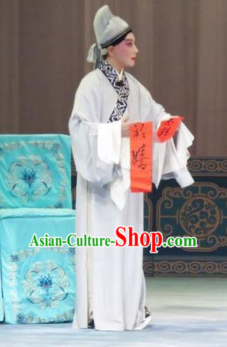 The Wrong Red Silk Chinese Ping Opera Young Man Costumes Pingju Opera Scholar Zhang Qiuren Apparels Clothing and Headwear