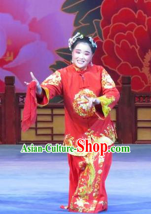 Chinese Ping Opera Elderly Female Ruan Costumes Flower a Matchmaker Apparels and Headpieces Traditional Pingju Opera Old Dame Red Dress Garment