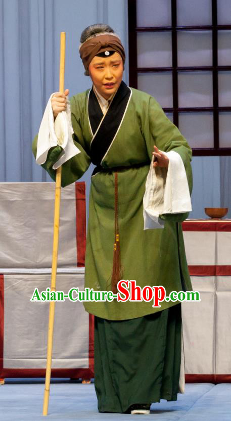 Chinese Ping Opera Fei Jie Apparels Pantaloon Costumes and Headpieces Traditional Pingju Opera Dress Elderly Dame Garment