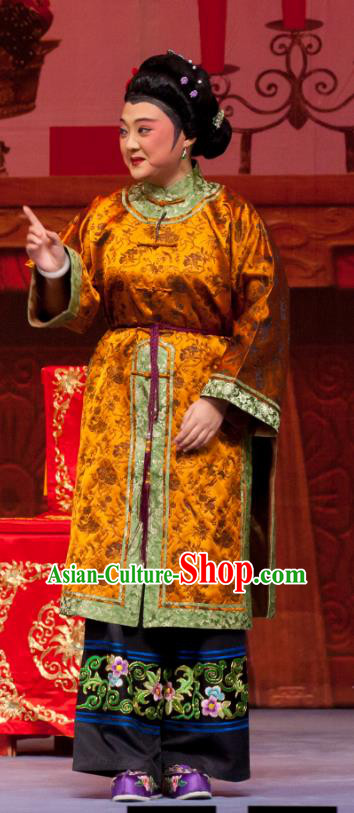 Chinese Ping Opera Fei Jie Elderly Female Apparels Costumes and Headpieces Traditional Pingju Opera Laodan Dress Pantaloon Garment