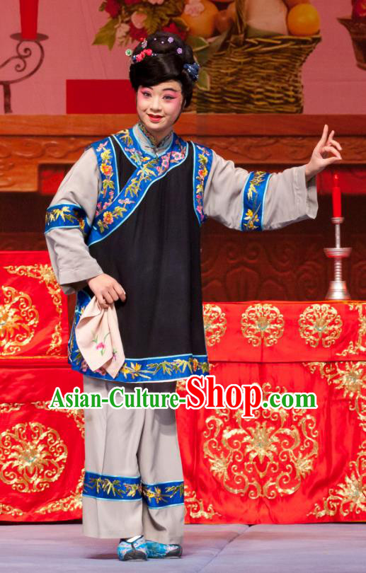 Chinese Ping Opera Fei Jie Young Female Apparels Costumes and Headpieces Traditional Pingju Opera Dress Garment