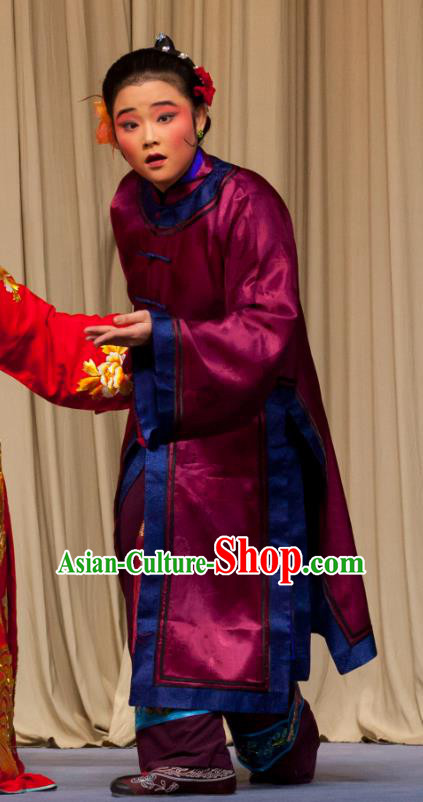 Chinese Ping Opera Fei Jie Laodan Apparels Costumes and Headpieces Traditional Pingju Opera Pantaloon Dress Garment