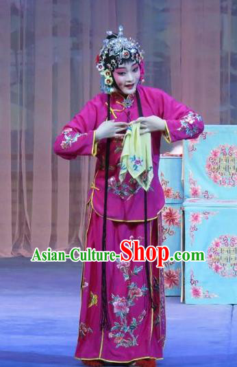 Chinese Ping Opera Flower a Matchmaker Young Lady Costumes and Headdress Traditional Pingju Opera Xiandan Dress Garment Young Female Rosy Apparels