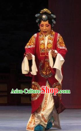 Chinese Ping Opera Noble Dame Apparels Costumes and Headpieces Nao Yan Fu Traditional Pingju Opera Elderly Female Dress Garment