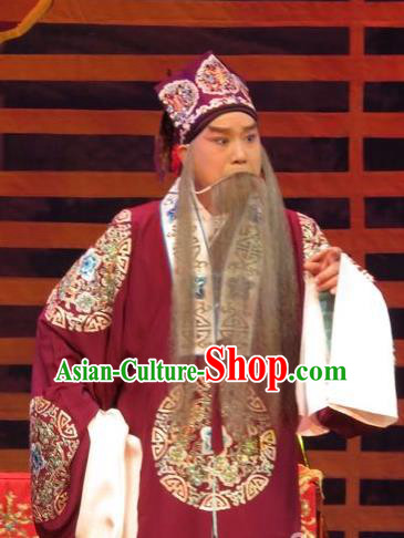 The Five Female Worshipers Chinese Ping Opera Elderly Male Costumes and Headwear Pingju Opera Old Landlord Yang Jikang Apparels Clothing