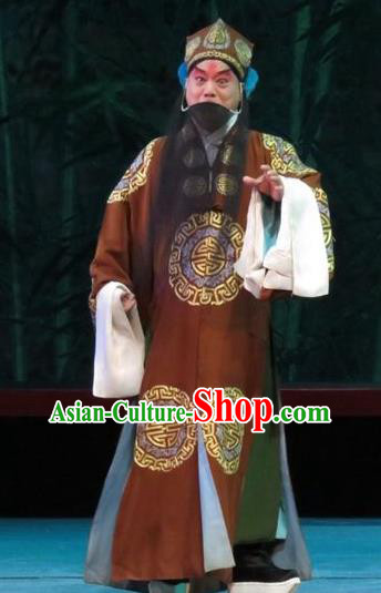 The Five Female Worshipers Chinese Ping Opera Minister Costumes and Headwear Pingju Opera Laosheng Apparels Elderly Male Clothing