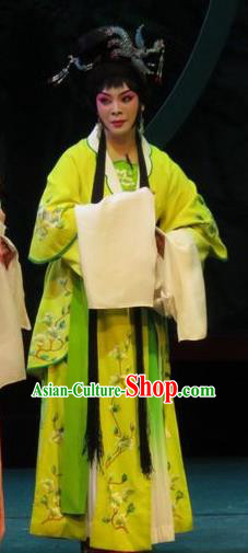 Chinese Ping Opera Hua Tan Shuang Tao Apparels Costumes and Headpieces The Five Female Worshipers Traditional Pingju Opera Diva Dress Garment