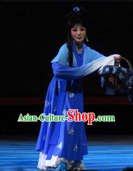 Chinese Ping Opera Country Woman Yang Sanchun Apparels Costumes and Headpieces The Five Female Worshipers Traditional Pingju Opera Diva Blue Dress Garment