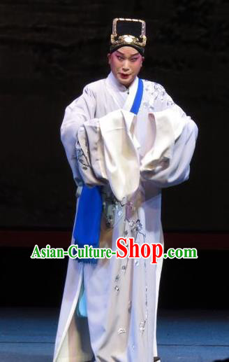 The Five Female Worshipers Chinese Ping Opera Xiaosheng Costumes and Headwear Pingju Opera Niche Zou Yinglong Apparels Scholar Clothing