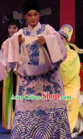 The Five Female Worshipers Chinese Ping Opera Xiaosheng Costumes and Headwear Pingju Opera Apparels Scholar Zou Yinglong Embroidered Robe Clothing