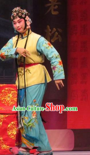 Chinese Ping Opera Female Servant Apparels Costumes and Headpieces Remember Back to the Cup Traditional Pingju Opera Xiaodan Dress Garment