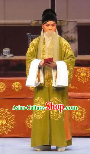 Peach Blossom Temple Chinese Ping Opera Laosheng Costumes and Headwear Pingju Opera Elderly Male Apparels Old Man Clothing