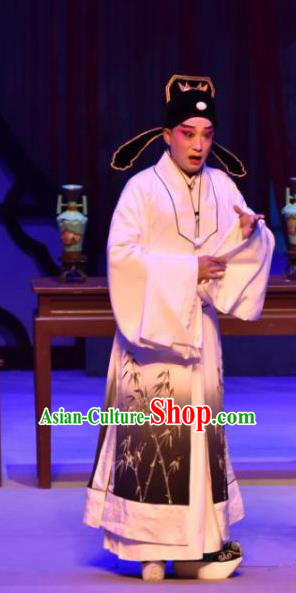 The Beautiful Courtesan Chinese Ping Opera Xiaosheng Li Jia Costumes and Headwear Pingju Opera Scholar Apparels Clothing