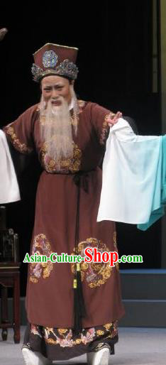 Chinese Yue Opera Patriarch Landlord Costumes Garment Shuang Yu Chan Shaoxing Opera Elderly Male Clothing Chieftain Apparels and Hat