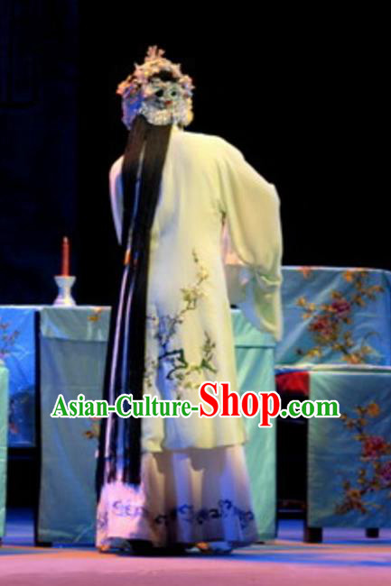 Chinese Shaoxing Opera Hua Dan Water Sleeve Dress Garment A Tragic Marriage Yue Opera Actress Costumes Wang Lianjuan Apparels and Hair Accessories