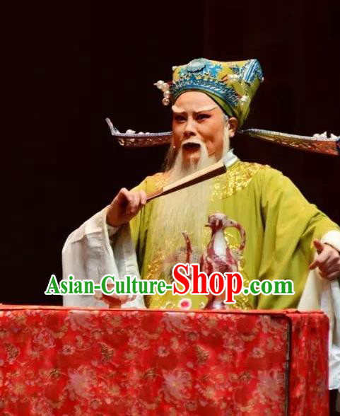 Chinese Yue Opera Elderly Male Minister Costumes and Hat Shaoxing Opera Yan Zhi Apparels Garment Official Shi Yushan Embroidered Robe Vestment