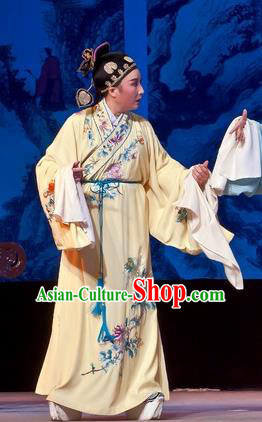 Chinese Yue Opera Calligrapher Zhu Zhishan Costumes Flirting Scholar Garment Shaoxing Opera Xiaosheng Young Male Robe Apparels and Hat