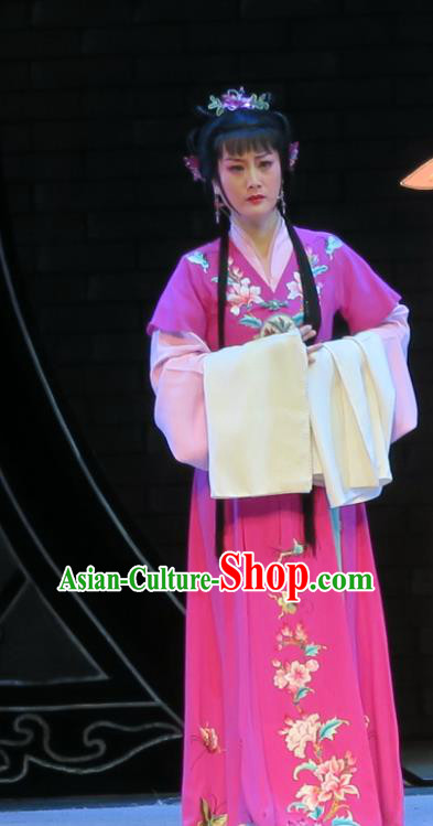 Chinese Shaoxing Opera Dong Xiaowan And Mao Bijiang Rosy Dress Garment Yue Opera Hua Tan Costumes Young Female Actress Apparels and Headpieces